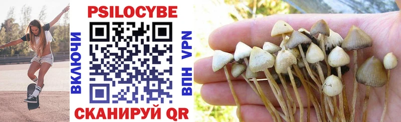 Купить  Владикавказ  Псилоцибиновые грибы Psilocybine cubensis 